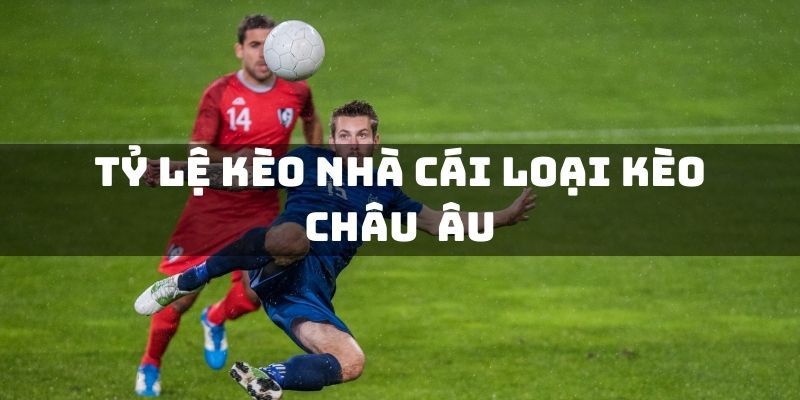 Cách đọc kèo châu Âu với những hình thức cụ thể